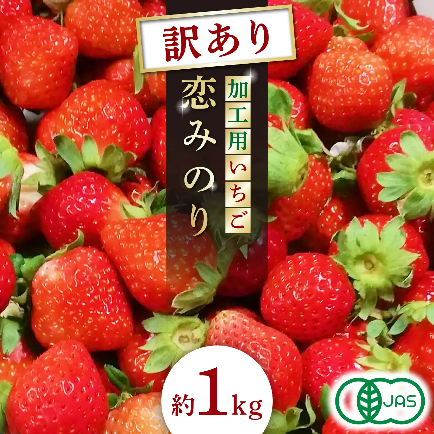 訳あり加工用いちご先行予約 恋みのり約1㎏苺いちごストロベリーイチゴ