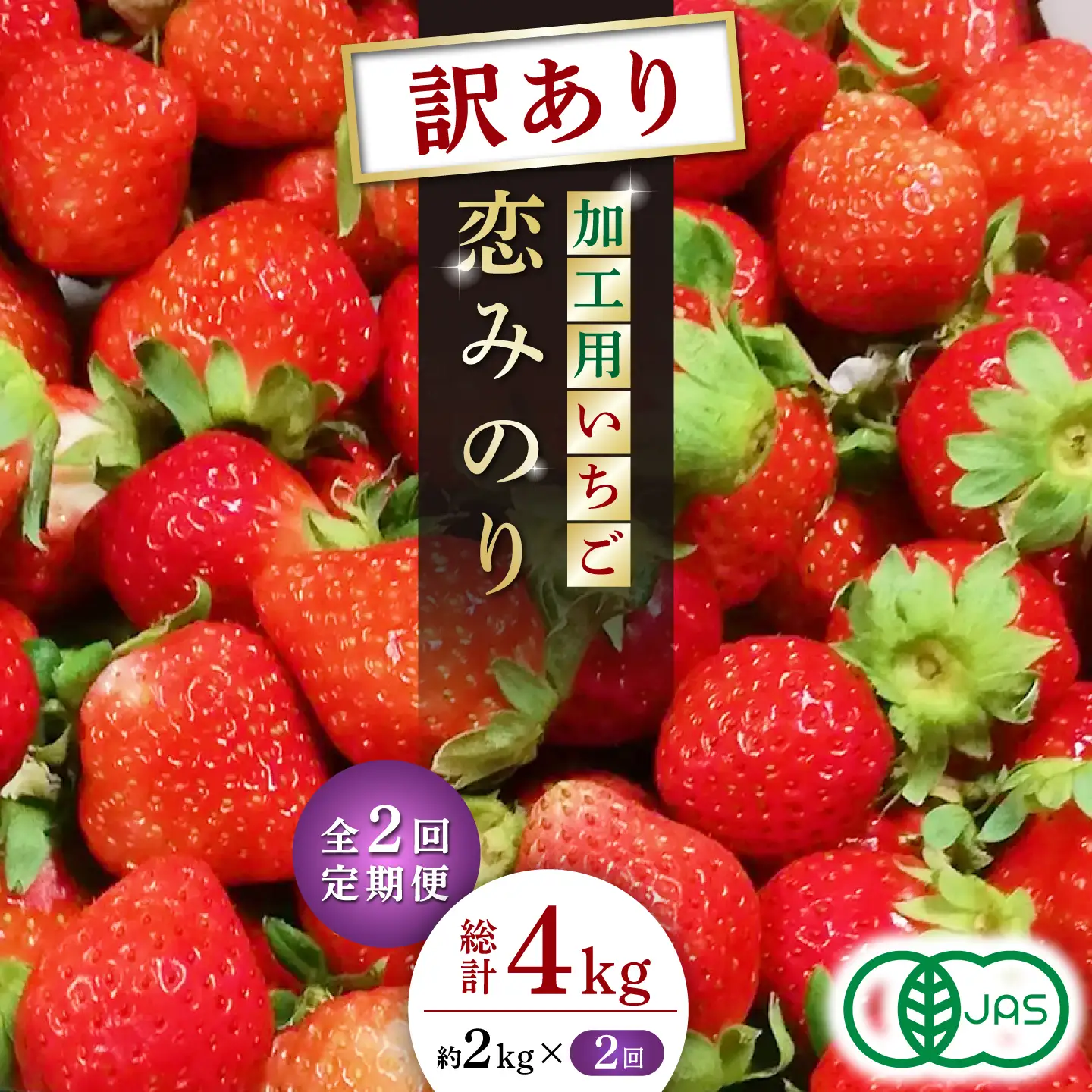 訳あり加工用いちご先行予約2回定期 恋みのり約2kg（1kg×2箱）苺イチゴ有機栽培いちごZBB014