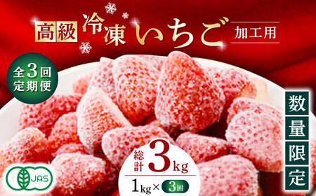 【3回定期便】高級 冷凍  いちご 加工用 約1kg（約500g×2袋）【伊藤農園】 果物 フルーツ イチゴ いちご 苺 熊本県 特産品 オーガニック 有機 恋みのり 冷凍 [ZBB015]