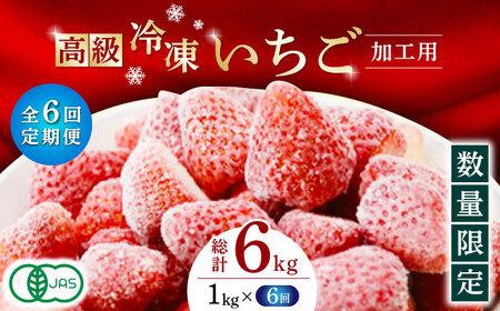 【6回定期便】高級 冷凍  いちご 加工用 約1kg（約500g×2袋）【伊藤農園】  果物 フルーツ イチゴ いちご 苺 熊本県 特産品 オーガニック 有機 恋みのり 冷凍 [ZBB016]