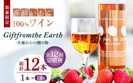 【12回定期便】高級 いちご 100％ワイン Giftfromthe Earth -大地からの贈り物- オーガニック【伊藤農園】  いちご 苺 熊本県 特産品 有機 お酒 オーガニックワイン [ZBB020]