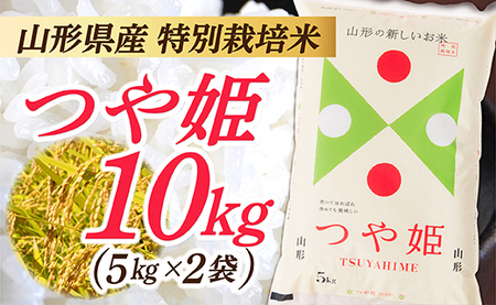 【令和7年産】山形県産 特別栽培米 つや姫10kg (5㎏×2袋)