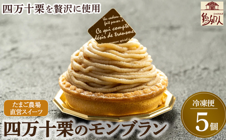 たまご農場直営スイーツ!四万十栗のモンブラン　5個入り／Gbn-51 モンブランタルト 和栗 ギフト