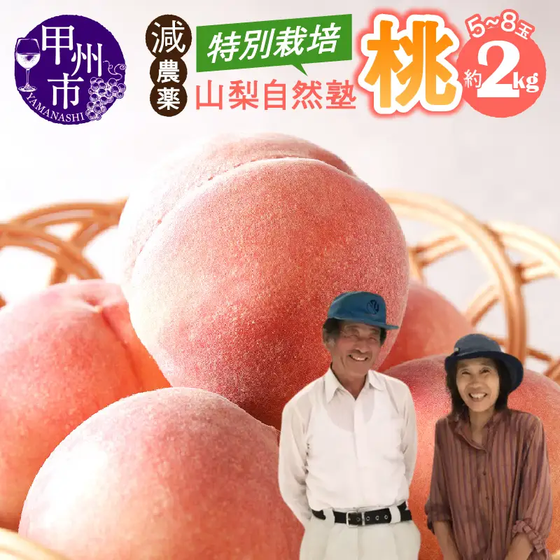 減農薬 特別栽培の桃 5～8玉 約2kg【2026年発送】（YSGK）B14-160 桃 フルーツ