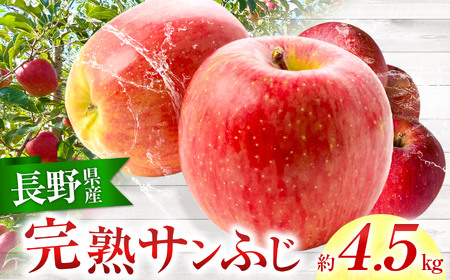 りんご 完熟 サンふじ 約4.5kg （りんご・リンゴ・林檎）【011-08】 
