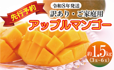 ＜訳あり・ご自宅用＞アップルマンゴー（約1.5kg）＜2026年発送＞ 〇 沖縄 旬のフルーツ マンゴー 7月 スイーツ おうち用 産地直送 お家使い うちなーすぐりむん 読谷村 お試し 夏 人気 甘い 家庭用 