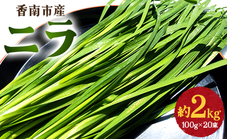 ニラ 2kg 生産量日本一 ニラ on-0011