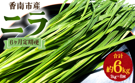 ニラ 1kg 定期便 6回 ニラ Won-0016