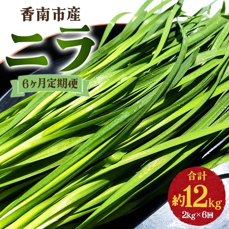ニラ 2kg 定期便 6回 ニラ Won-0018