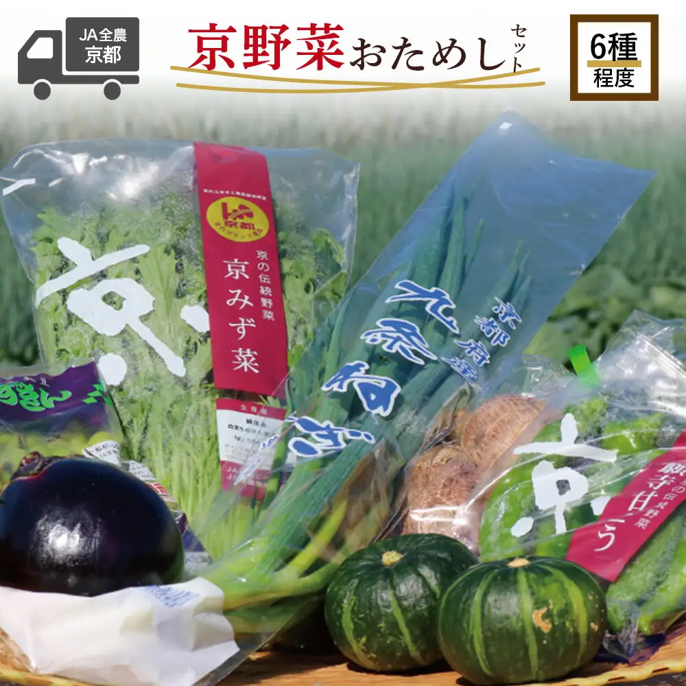 選りすぐり京野菜 旬の野菜 詰め合わせセット 6種程度