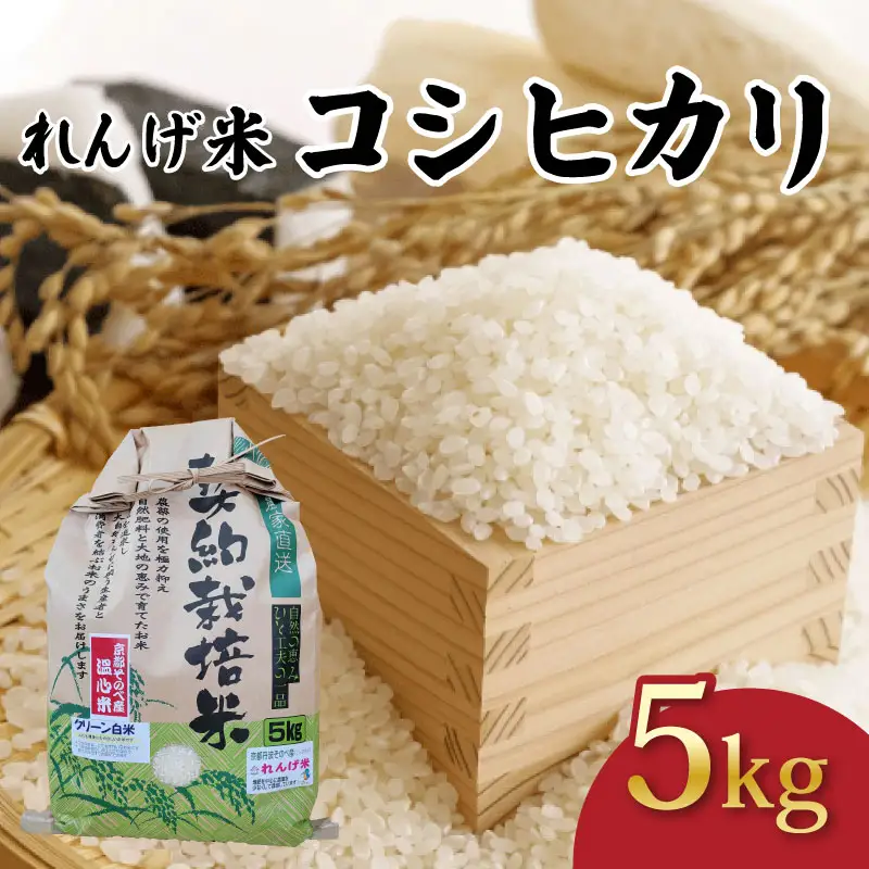 令和7年産 コシヒカリ 精米 5kg れんげ米