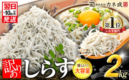 訳あり しらす 2kg 【1箱×2】 訳あり しらす 人気