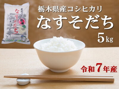 令和7年産 栃木県産 コシヒカリ なすそだち 5kg JAなすの産地直送【大田原市・那須塩原市・那須町共通返礼品】〔P-237〕 ｜ 米 コメ こめ 白米 精米 新米