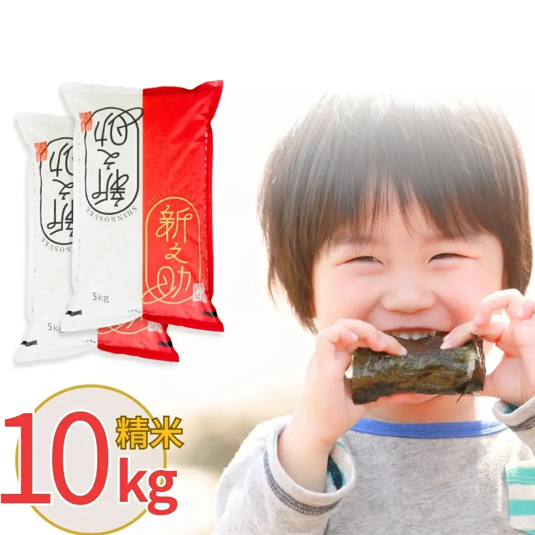 【令和7年産米】新潟県三条市 新之助 無洗米10kg（5kg×2袋） 