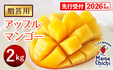【贈答用】【先行受付・2026発送】ママチチマンゴーファームの贈答用アップルマンゴー約2kg - 先行予約 沖縄県産 産地直送 南国フルーツ 旬の味覚 旬のフルーツ 贈り物 ギフト 沖縄県 八重瀬町