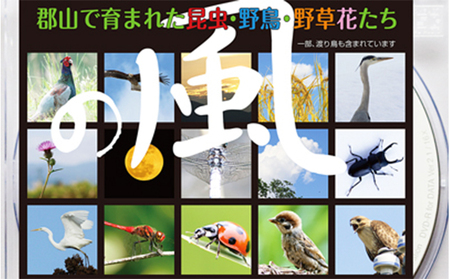 デジタル写真素材 「の風」 本 DVD 