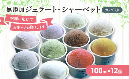 無添加 ジェラート・シャーベット詰合せ 100ml×12個 スイーツ アイスクリーム セット 