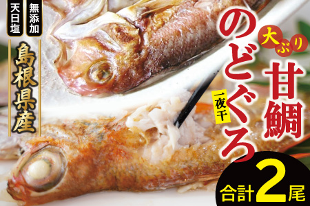 「一日漁」甘鯛・のどぐろ一夜干し【干物セット のどぐろ干物 1尾 201～260g 甘鯛干物 1枚 301～375g 無添加 のどぐろ ノドグロ  特大 アマダイ 大ぶり 干物 一夜干し 冷凍 父の日 母の日】
