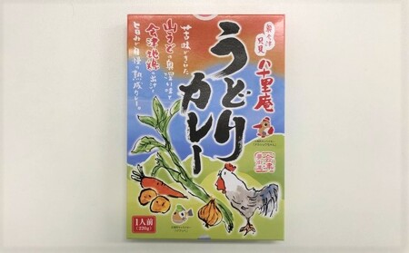 【ヤマサ商店】八十里庵 うどりカレー 220g×4箱 加工食品 惣菜 レトルト 野菜 山菜 肉の加工品 