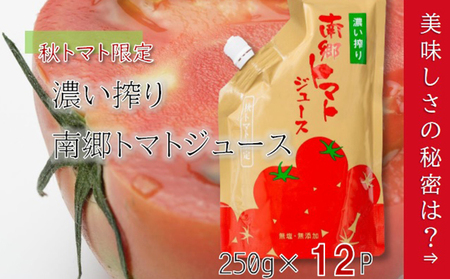 濃い搾り　南郷トマトジュース　12パック 果汁飲料 野菜飲料 ストレート 無添加 
