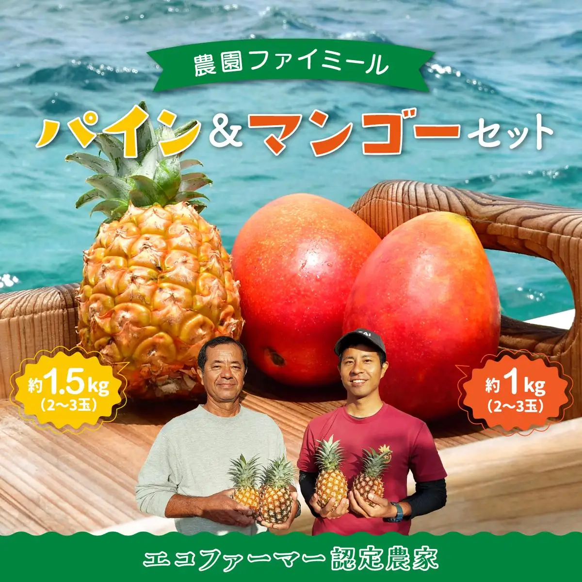 セット パイン 約1.5kg マンゴー 約1kg 