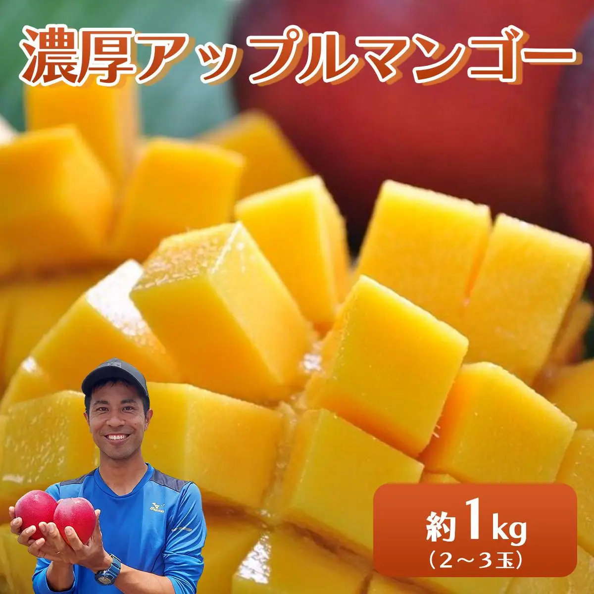アップルマンゴー 約1kg 