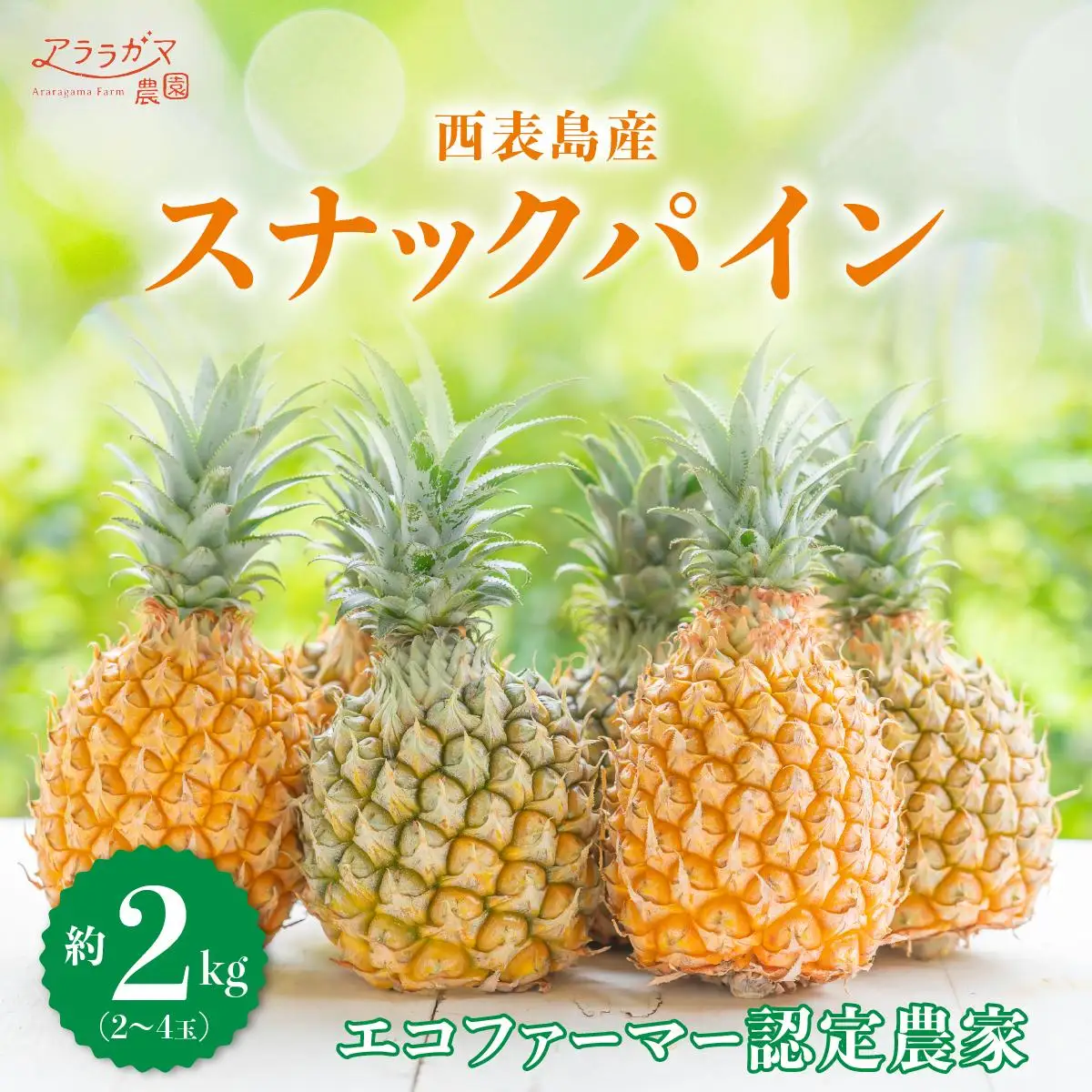 ちぎって食べるスナックパイン2kg（2～4玉）