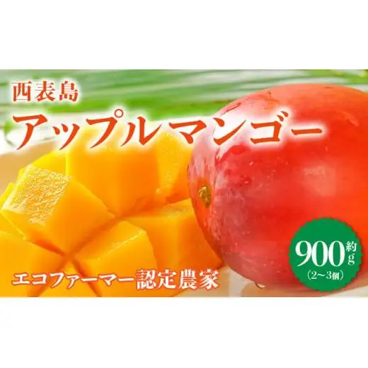 満足度NO.1！1玉1玉検品し、樹上完熟で糖度14度以上のみ発送します！ 西表島プレミアムマンゴー900g