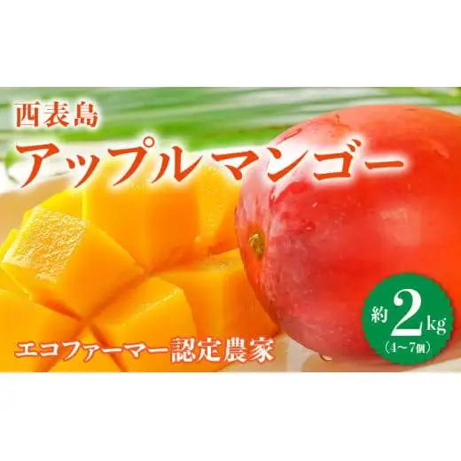 満足度NO.1！1玉1玉検品し、樹上完熟で糖度14度以上のみ発送します！ 西表島プレミアムマンゴー2kg