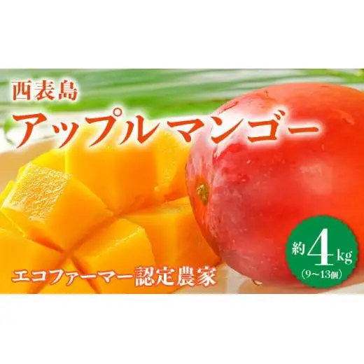 満足度NO.1！1玉1玉検品し、樹上完熟で糖度14度以上のみ発送します！ 西表島プレミアムマンゴー4kg