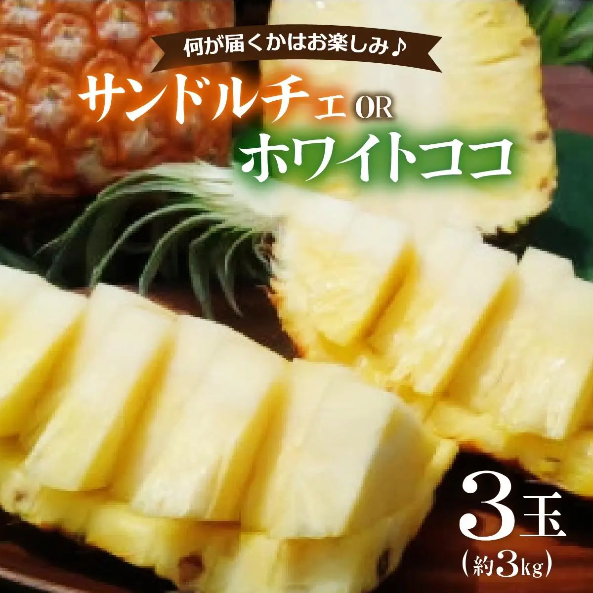 新品種パイン 『サンドルチェ』 または 『ホワイトココ』 3玉セット 約3kg 西表島産
