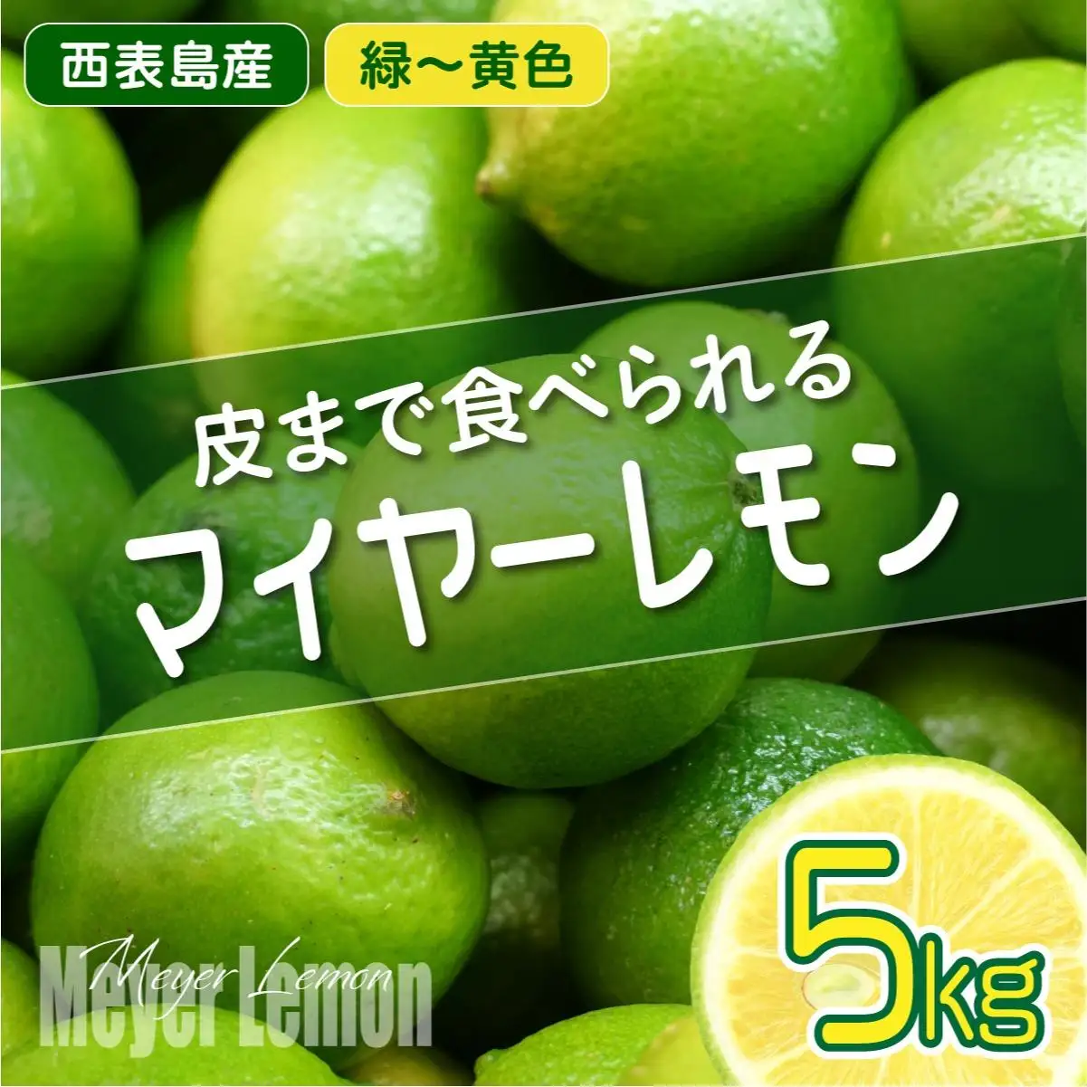 果汁たっぷり マイヤーレモン（島レモン）約5kg