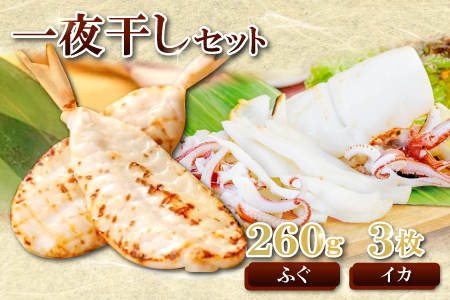 日本海が育んだ絶品　ふぐ・白いか一夜干詰合せ【ふぐ いか フグ 干物 260g 5尾～11尾 1箱 白いか 干物 3枚 河豚 イカ 烏賊 ケンサキイカ 一夜干し 贈答 ギフト 父の日 母の日 国産】