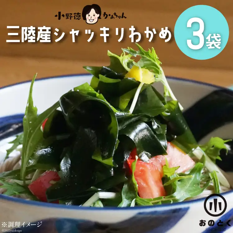 【肉厚1等品】 三陸産 シャッキリわかめ 200g ×3袋 [小野徳 宮城県 気仙沼市 20565560]