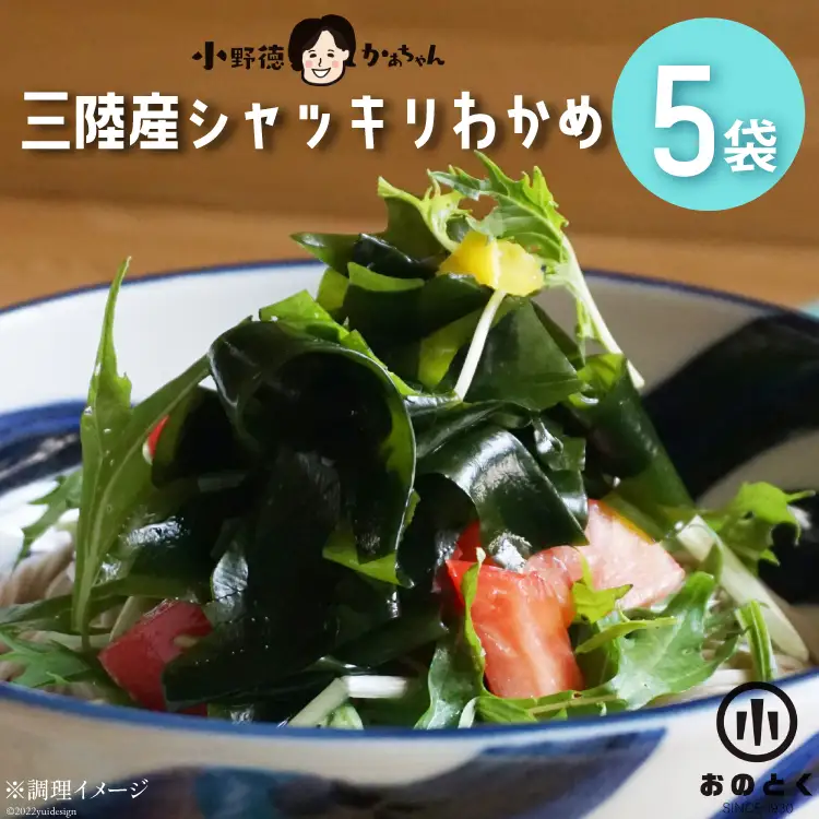 【肉厚1等品】 三陸産 シャッキリわかめ 200g ×5袋 [小野徳 宮城県 気仙沼市 20565561]