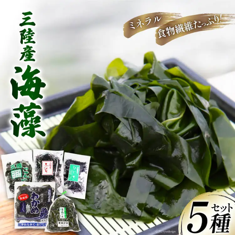 三陸産 海藻 5種セット ( わかめ 茎わかめ ひじき ふのり 昆布 ) [さんりくみらい 宮城県 気仙沼市 20564805]