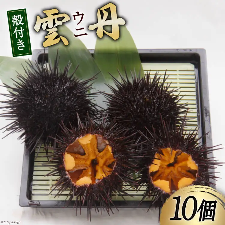 【期間限定発送】 三陸産 ウニ 殻付き 10個 [さんりくみらい 宮城県 気仙沼市 20564808]