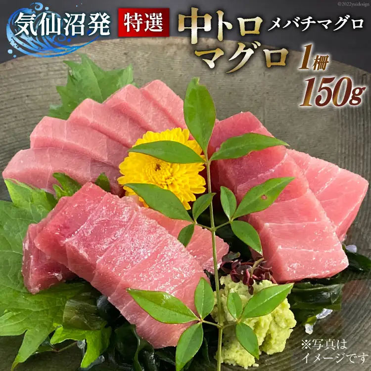 特撰 中トロマグロ（メバチマグロ）１柵 150g [川印　村田漁業 宮城県 気仙沼市 20563398]