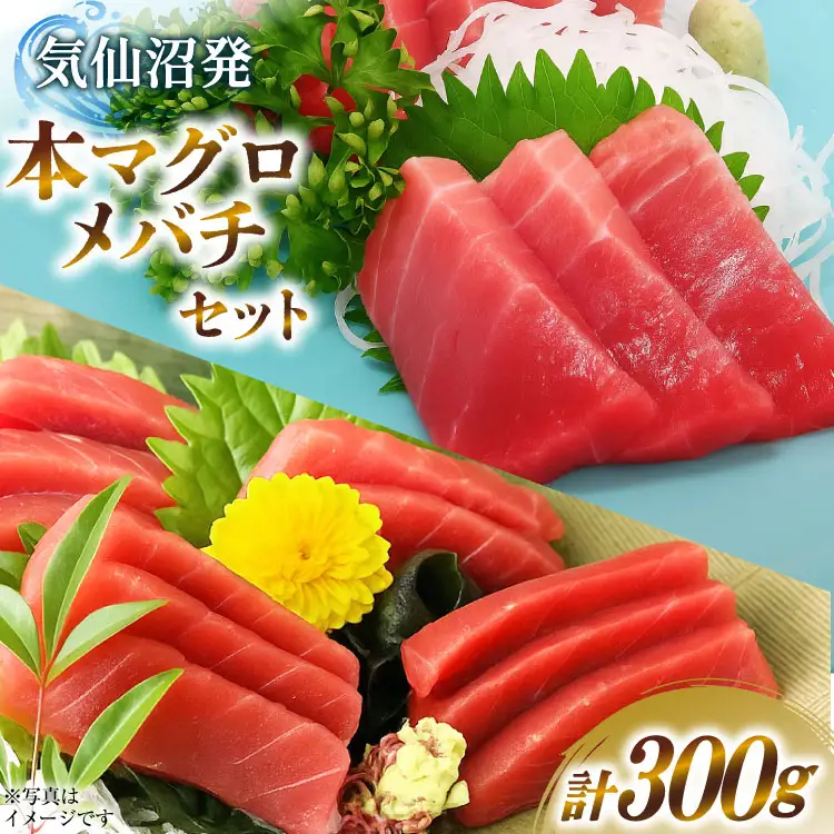 本マグロ・メバチセット [川印　村田漁業 宮城県 気仙沼市 20563739]