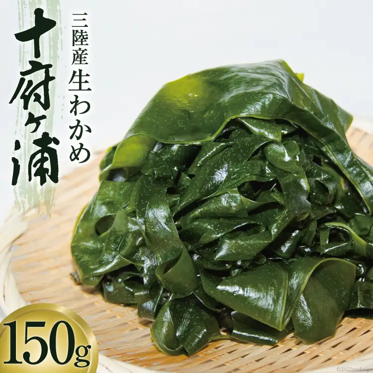 生わかめ 三陸産 十府ヶ浦 150g [マルニシ 宮城県 気仙沼市 20564316]