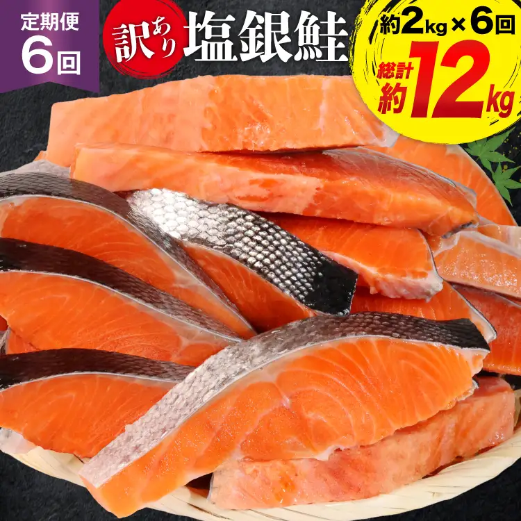 定期便 《6ヶ月連続お届け》 訳あり 銀鮭 切身 約2kg×6回 計12kg [宮城東洋 宮城県 気仙沼市 20564480]