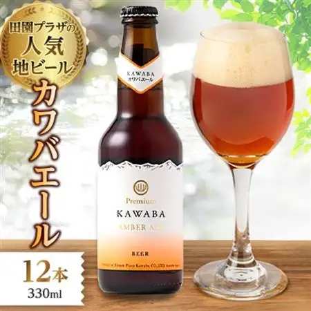 カワバエール　12本セット_酒・アルコール  ビール _【1446340】