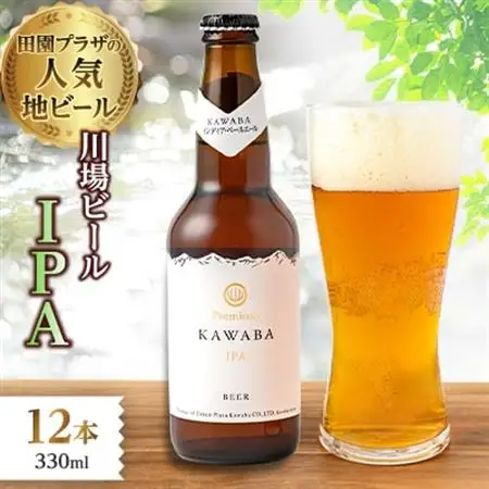 IPA　12本セット_酒・アルコール  ビール _【1446343】