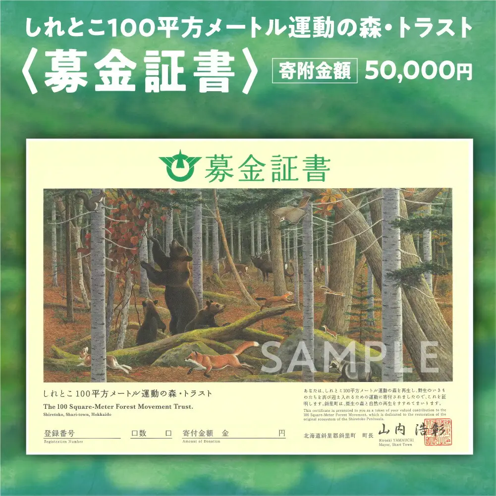 募金証書(50,000円)しれとこ100平方メートル運動の森トラスト_ 地域サービス 