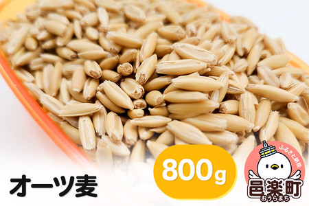 オーツ麦 800g×1袋 サイトウ・コーポレーション 飼料
