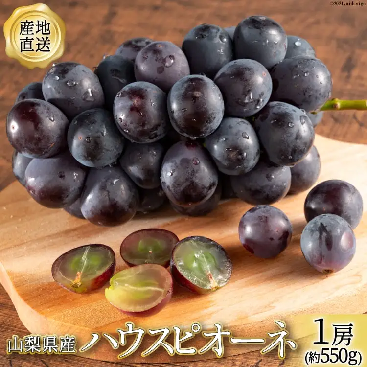 ぶどう 山梨県産 ハウスピオーネ 1房 約550g 【2026年発送】 [全国農業協同組合連合山梨県本部 山梨県 韮崎市 20742854]