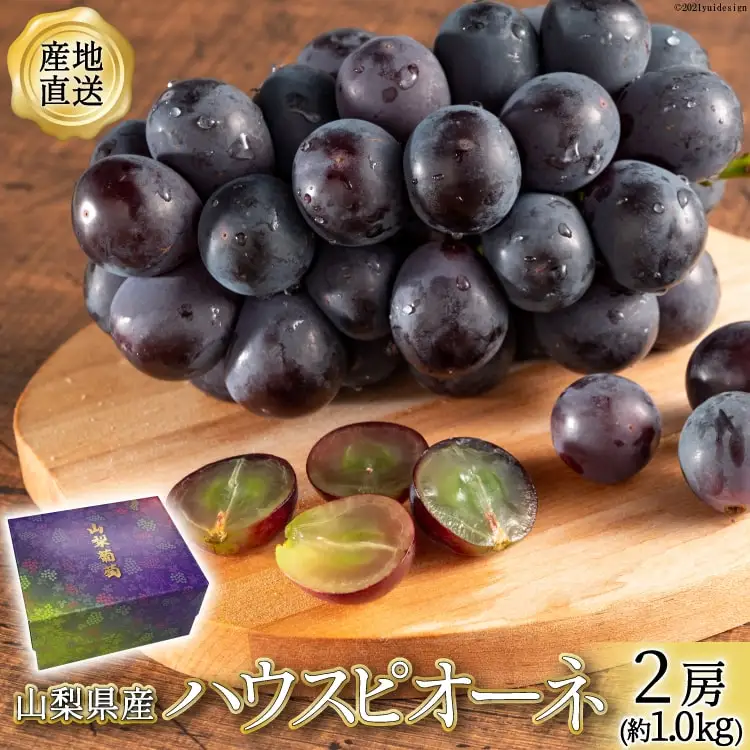 ぶどう 山梨県産 ハウスピオーネ 2房 約1.0kg 【2026年発送】 [全国農業協同組合連合会 山梨県本部 山梨県 韮崎市 20742856]