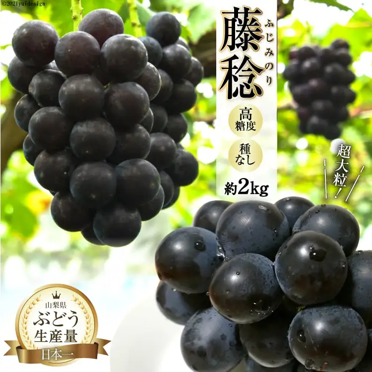 ぶどう 2026年発送 藤稔 約 2kg [20743008] ぶどう