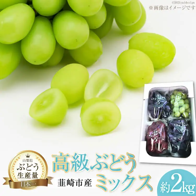 ぶどう 先行予約 高級 ミックス（シャイン入り）おまかせ 食べ比べ 約 2kg 【2026年発送】 [フルーツランド平賀 山梨県 韮崎市 20742832]