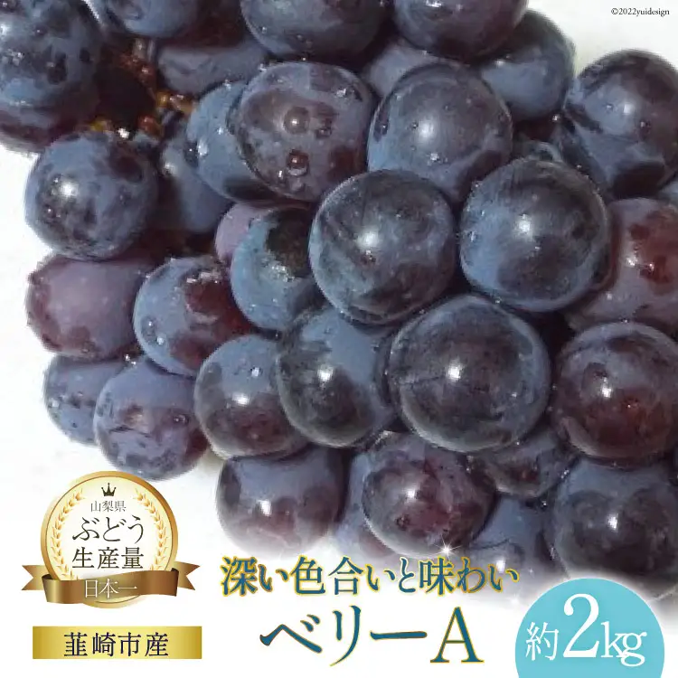 ぶどう ベリーA 約 2kg 【2026年発送】  [フルーツランド平賀 山梨県 韮崎市 20742838]